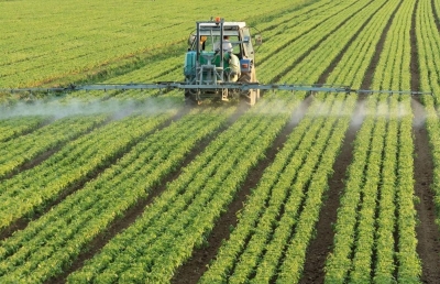 陈贵镇 开展农业实用技术培训