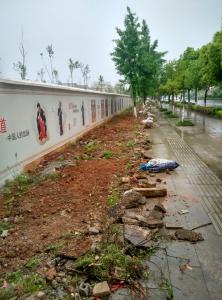 精心打造新冶大道绿化带 助力城市文明创建