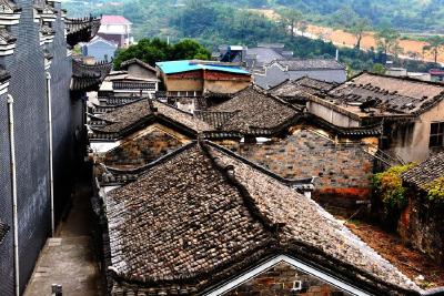村民自发充当“活力村庄”建设者