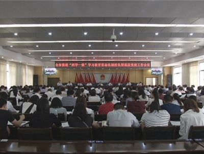 全市推进“两学一做”学习教育常态化制度化暨基层党建工作会议召开