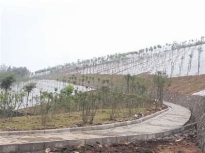 还地桥片区地质环境开始治理