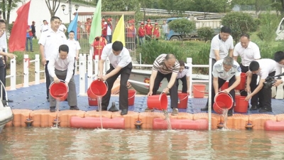千万尾鱼苗投放尹家湖