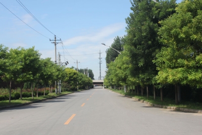 全市文明城市创建活动月启动