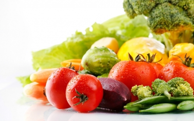 市蔬菜办 组织参加武汉种业博览会