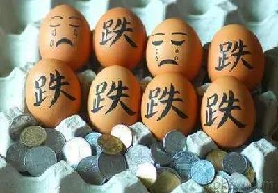 蛋价跌回十年前 养殖户三天赔一万