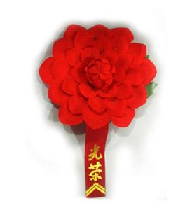 实验二小 表彰271名优秀学生