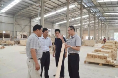 副市长夏鹏到佛圣堂考察调研文化产业