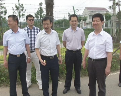 中国城镇化促进会来冶调研“千企千镇工程”实施工作