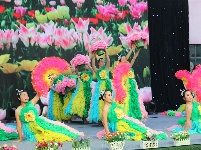 六·一汇演丨“情动兴旺”金湖兴旺幼儿园专场