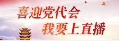 喜迎党代会 我要上直播丨看大冶茗山乡，如何变身富饶美丽的“芳香小镇”