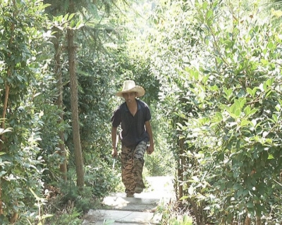 龙凤集团：做好“三扶贫” 带领群众致富