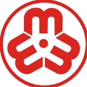 大箕铺镇完成妇联换届