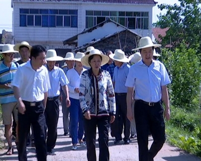黄石市政协主席周蔚芬来冶调研河长制工作