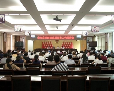 全市文明创建志愿服务工作推进会召开
