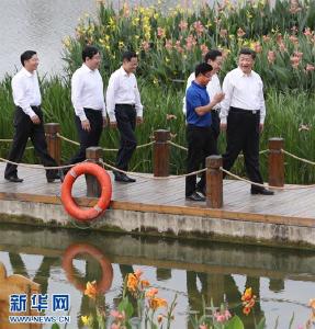 不平凡的五年”之生态文明篇 为了一个“青山常在、清水长流、空气常新”的美丽中国