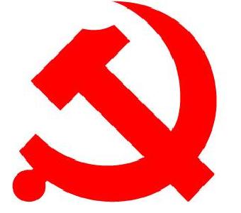 大冶市社会组织委员会 第一次党员大会召开