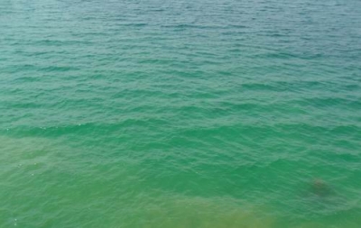 水质在线监测仪落户保安湖