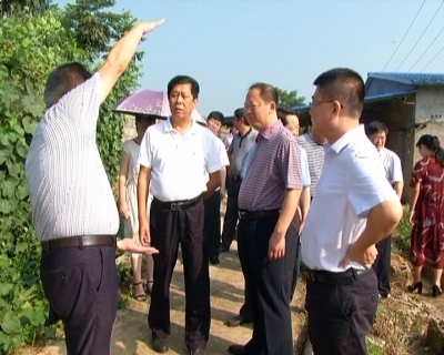 市人大常委会视察全市农业面源污染治理工作