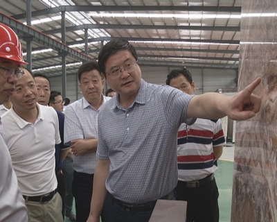 王刚到经济开发区、金湖街办调研项目建设工作