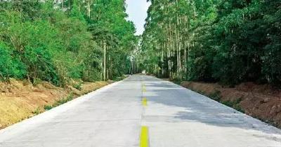 高位推进公路安全生命防护工程建设  目前，大冶市已投资9700余万元，完成了650公里隐患道路安防设施建设