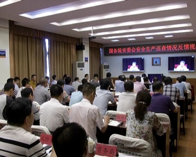 我市集中收听收看国务院安委会安全生产巡查情况 反馈电视电话会议