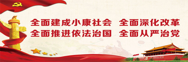 系列报道《喜迎十九大》大冶： 中介服务政府买单 精准服务激发活力