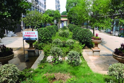 东鑫社区：文明新风浸润“幸福家园”