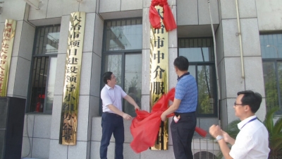 王刚出席全市“放管服”系列改革启动仪式