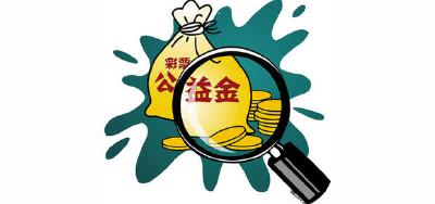 11万元福彩公益金扶残助残