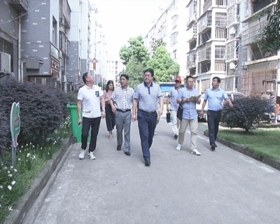 王刚检查督办金湖街办文明创建工作