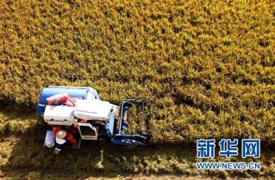 秋雨、台风袭来，今年秋收秋种要多注意些什么？