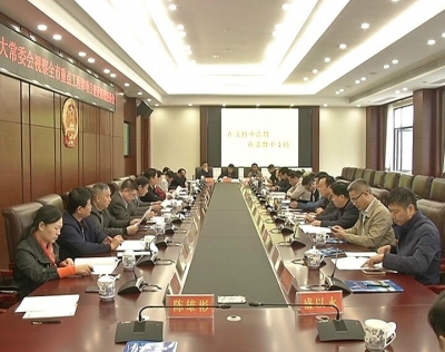 市人大常委会视察全市重点工程和项目建设工作