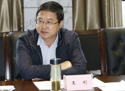王刚调研保安湖生态新区及枫彩项目建设