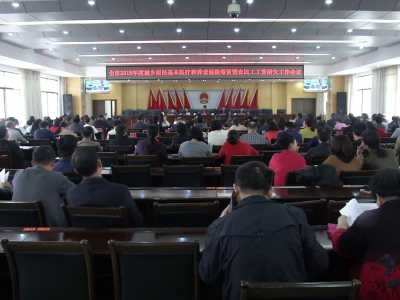 江龙平出席全市城乡居民基本医疗保险和养老保险筹资暨农民工工资清欠工作会议