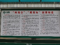 我市1.5万吨新粮入库--全市粮食企业有序开展秋粮收购工作