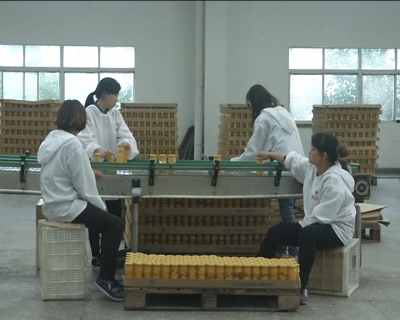 系列报道《开启新征程 发展立新功 深入学习贯彻党的十九大精神》天天红：学习十九大 发展立新功