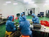 东角山下,鑫东等着你来采摘新鲜有机蔬菜哦