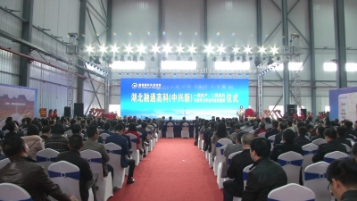 湖北融通高科：致力于打造中国最大的锂电池材料生产基地