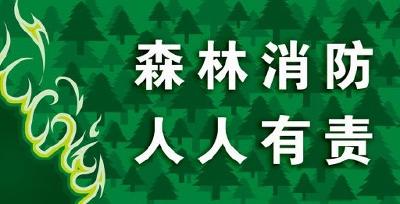 梅山中学系列活动宣传森林防火