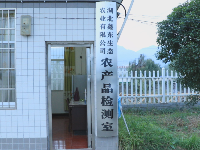 东角山下,鑫东等着你来采摘新鲜有机蔬菜哦