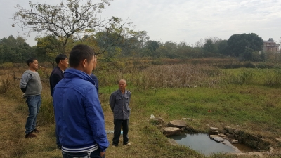 “当家塘”荒成沼泽地  村民盼其再“当家”
