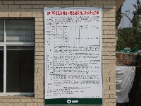 我市1.5万吨新粮入库--全市粮食企业有序开展秋粮收购工作