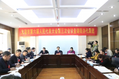 刘会金参加金湖街办代表团审议