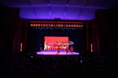 我市举办“两会”专场文艺晚会
