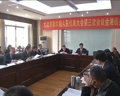 刘会金参加金湖街办、刘仁八镇代表团审议