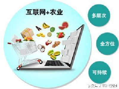 第三次全国农业普查公报公布 近九成的村通了宽带互联网