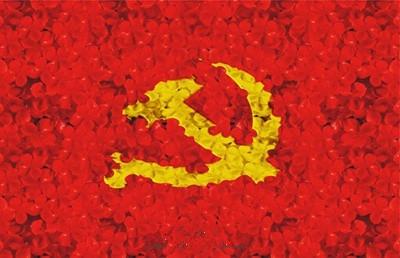 市继教中心 学习十九大 做优秀共产党员