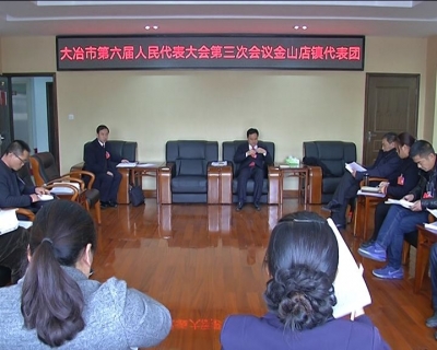 胡长春参加金山店镇代表团审议