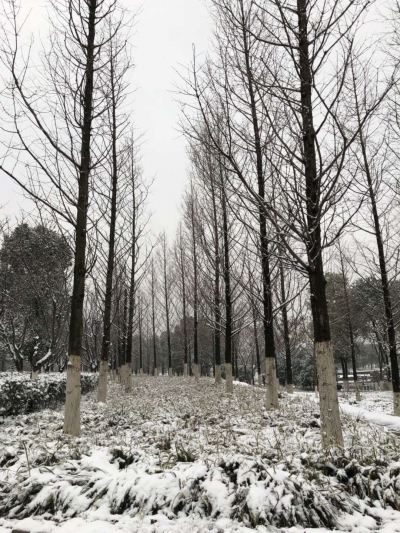 我市迎来首场降雪  多部门保出行安全