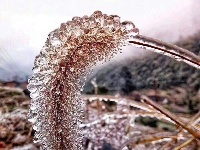 大冶人朋友圈里的最美雪景